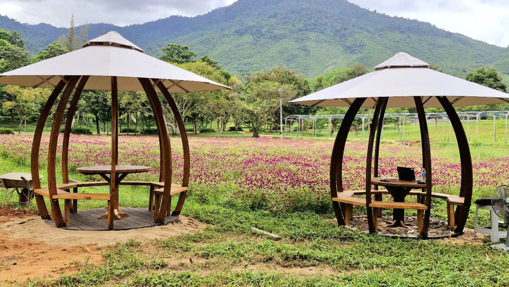 Nhà gỗ lắp ghép Amazon